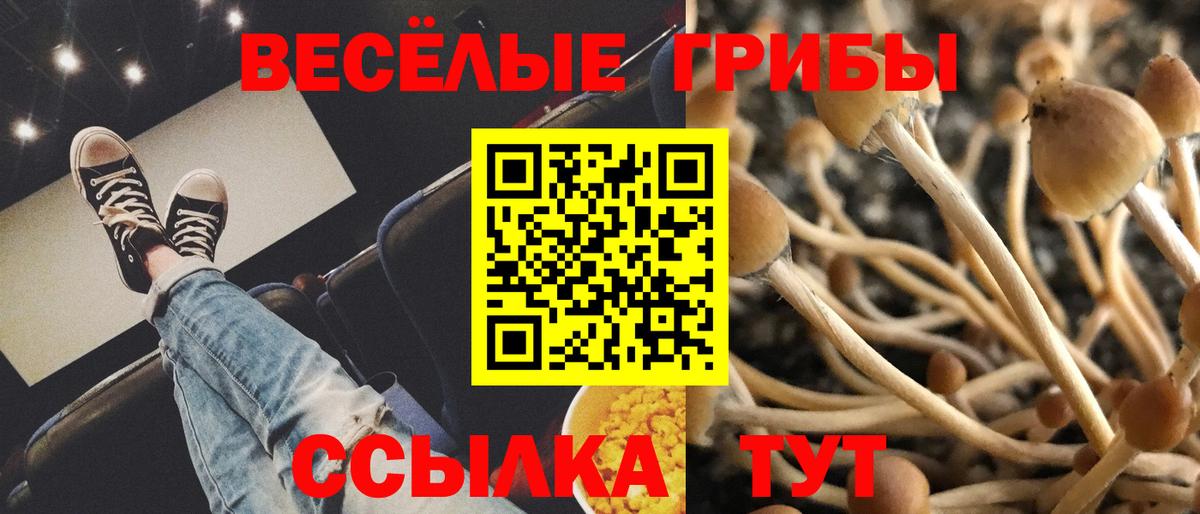Псилоцибиновые грибы ЛСД  Вход с VPN  Галлюциногенные грибы GOLDEN TEACHER  Топки 